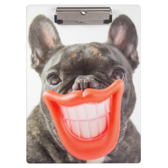 Pranchetas Cão de sorriso das imagens | A de Getty (Frente)