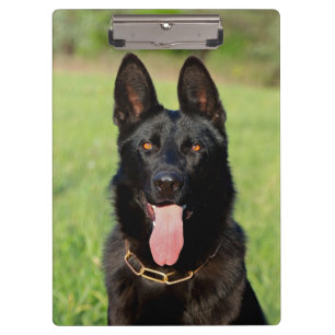 Pranchetas Cão German shepherd Preto - Cãozinho GSD