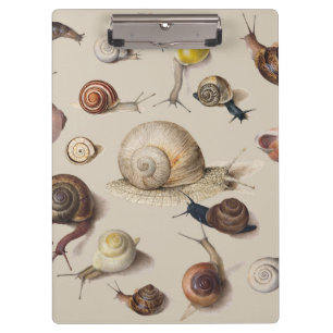Pranchetas Caracóis de Gastropodo de Pet de Slug de Jardim da