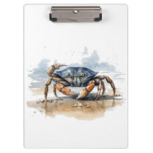 caranguejo azul e laranja caminhando na praia