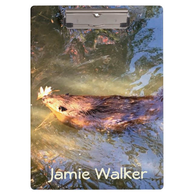 Pranchetas Castor Nadando (Frente)