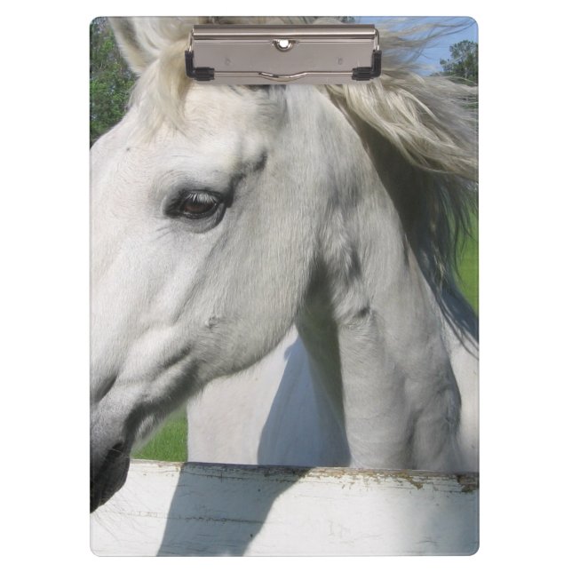 Pranchetas Cavalo branco (Frente)