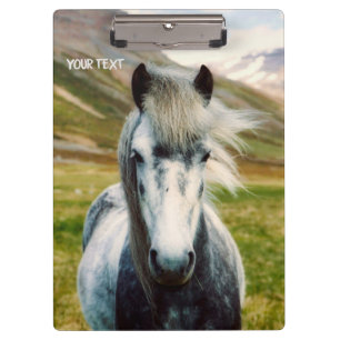 Pranchetas Cavalo de Cinza selvagem