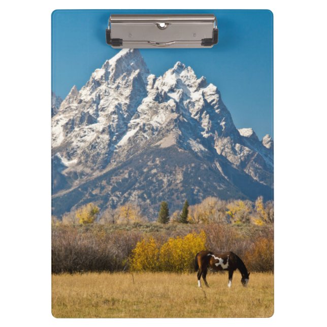 Pranchetas Cavalo e Grand Tetons, Moose Head Ranch (Frente)