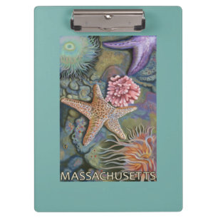 Pranchetas Cena de MassachusettsTidepool