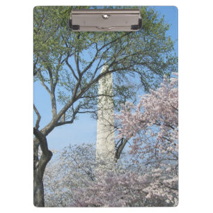 Pranchetas Cherry Blossoms e o Monumento de Washington em DC