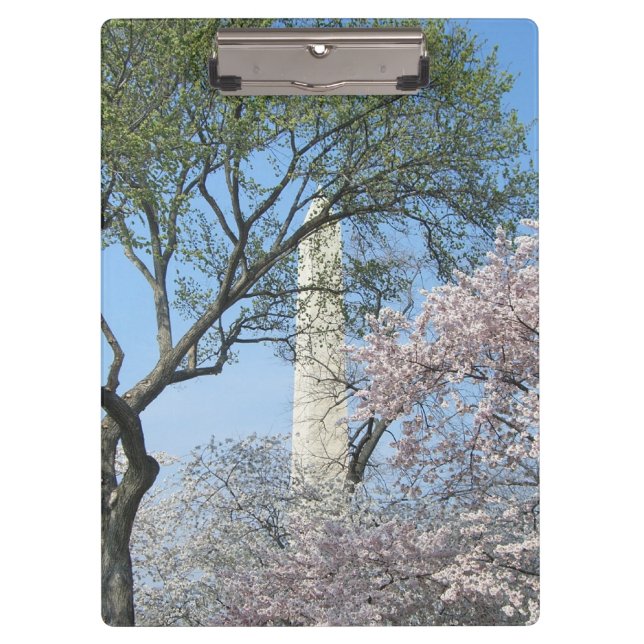 Pranchetas Cherry Blossoms e o Monumento de Washington em DC (Frente)