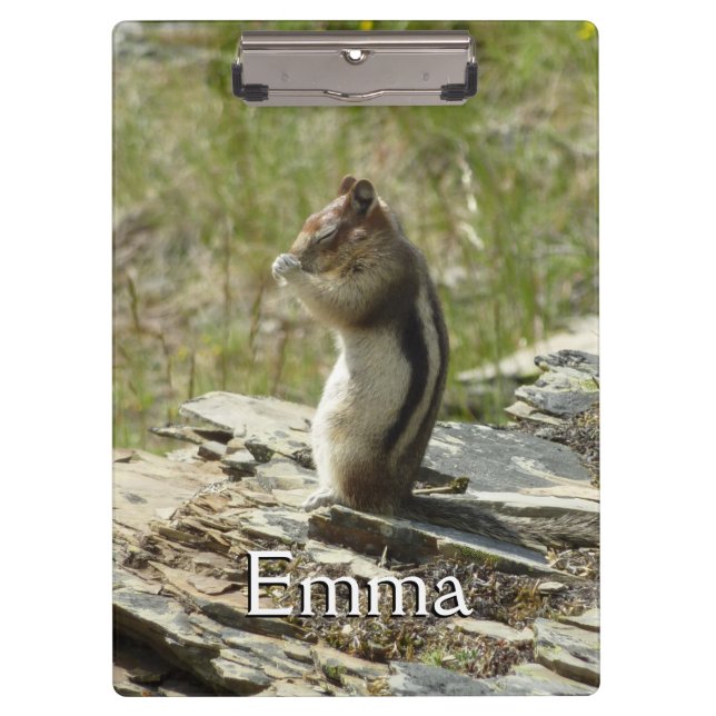 Pranchetas Chipmunk no Parque Nacional Glacier II (Frente)