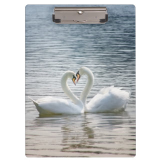 Pranchetas Cisnes adoráveis formando um coração