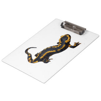 Pranchetas Clipboard Fire Salamander