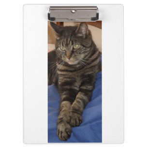 Pranchetas Clipboard Regal Dave Ultra Sturdy A4