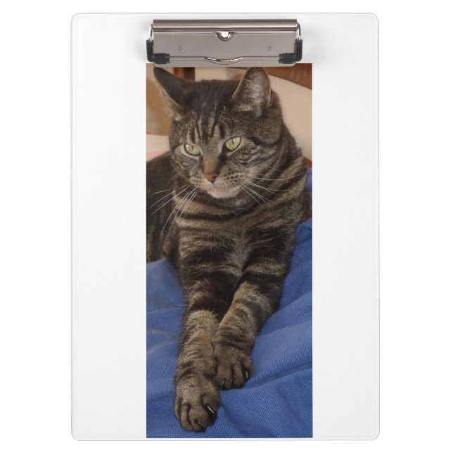Pranchetas Clipboard Regal Dave Ultra Sturdy A4 (Frente)