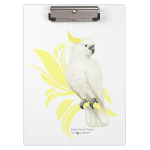 Pranchetas Cockatoo Penteado