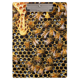 Pranchetas Colmeia de Abelhas com Colo de Honeycomb Próximo