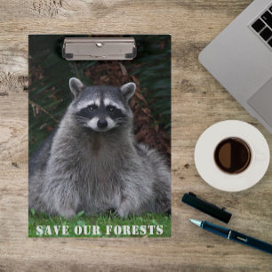 Pranchetas Conservação da Floresta de Foto de Raccoon Wildl
