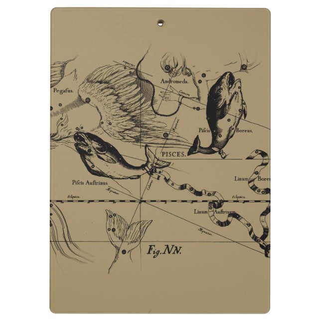 Pranchetas Constelação de peixes Hevelius cerca de 1690 (Verso)