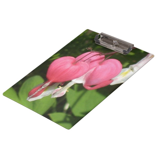 Pranchetas Coração Hemorragia Floral - Área de Transferência  (Inclinado)