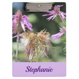 Pranchetas Corfu Lilac Wildflower 
