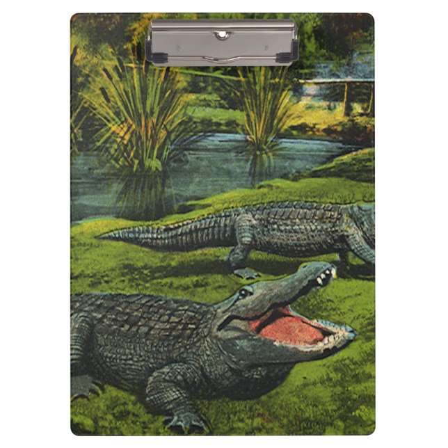 Pranchetas Crocodilos, Répteis da Vida Marinha Antiga Animais (Frente)