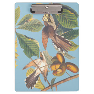 Pranchetas Cuco Cobrado Amarelo Audubon