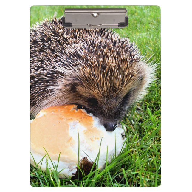 PRANCHETAS CUTE HEDGEHOG (Frente)