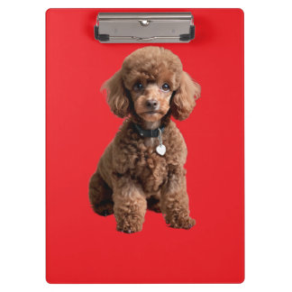 Pranchetas Cute Teacup Poodle Red Folder