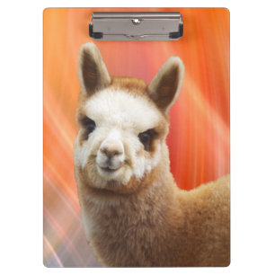 Pranchetas da alpaca