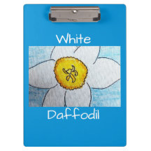 Daffodil branco