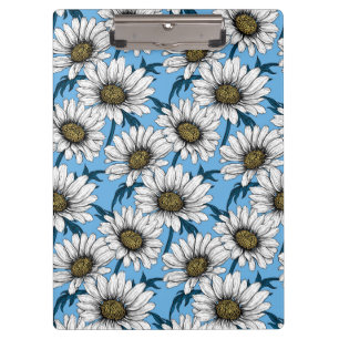 Pranchetas Daisies, flores silvestres em azul