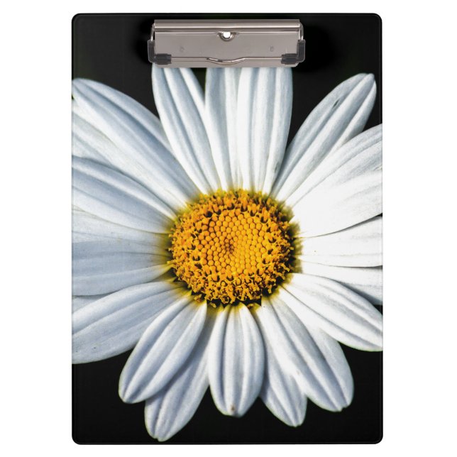 Pranchetas Daisy Mae (Frente)