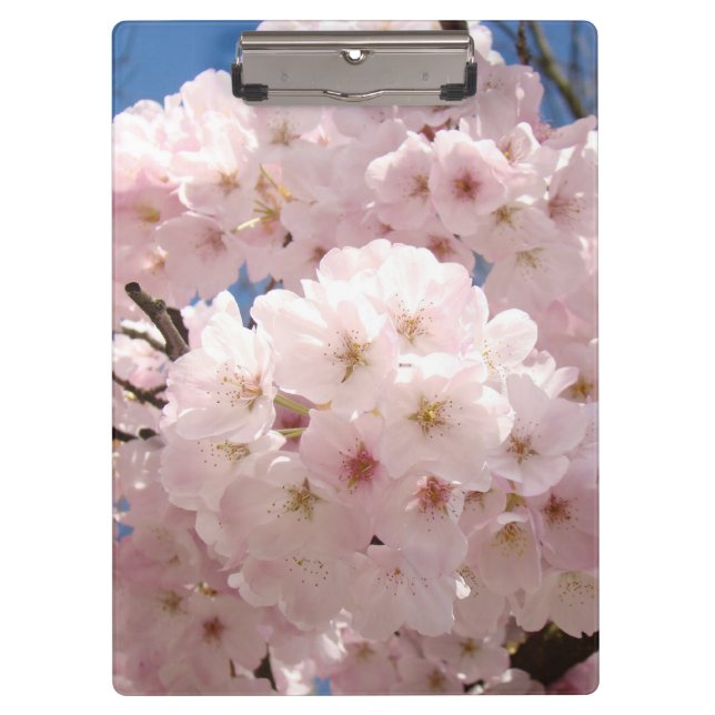 Pranchetas de flores de árvore rosa pastel escritó (Frente)