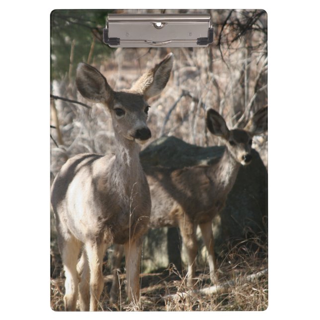 Pranchetas Deer dizendo olá (Frente)