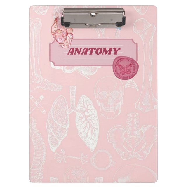 Pranchetas Desenho Estético de Anatomia Rosa para Estudante d (Frente)