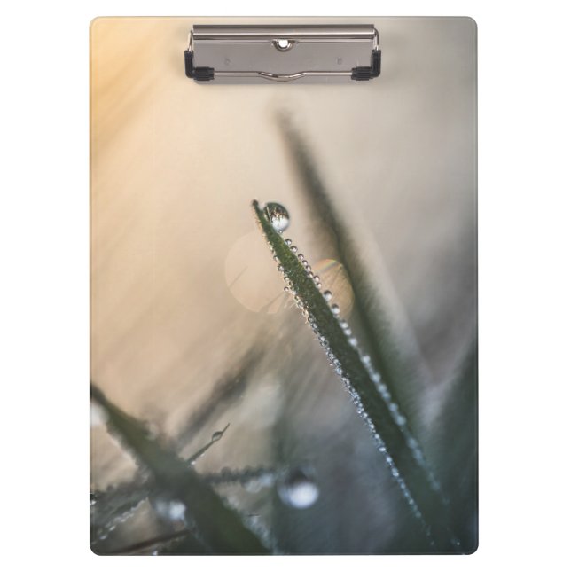 Pranchetas Dew Droplet on Grass Floral Nature Photo (Frente)