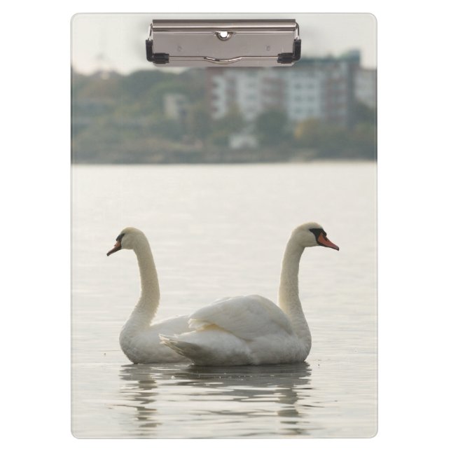 Pranchetas Dois cisnes (Frente)