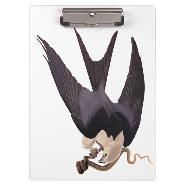 Pranchetas Engolir Hawk Alcance com Cobra Vintage Audubon (Frente)