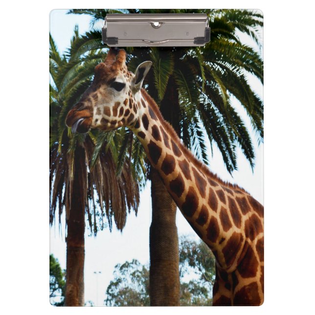 Pranchetas Engraçado Girafa Dando Um Framboesa, (Frente)
