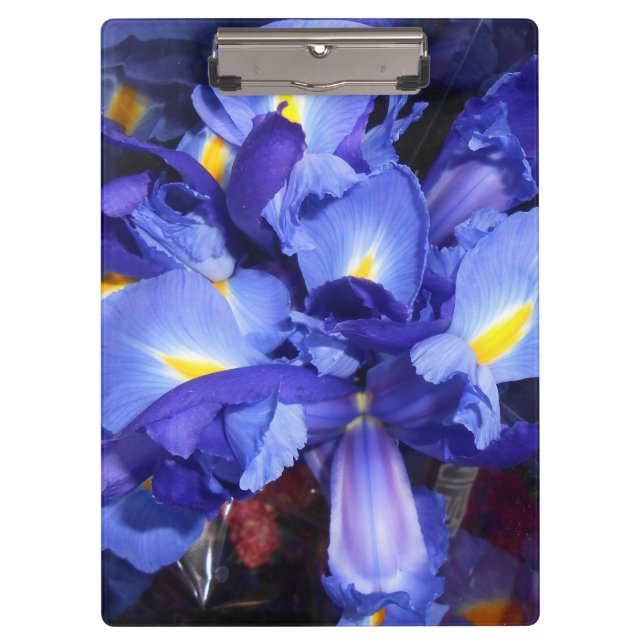 Pranchetas Ermengarde (Frente)