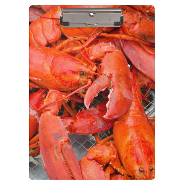 Pranchetas EUA, Massachusetts, Ilha de Martha's Vineyard (Frente)