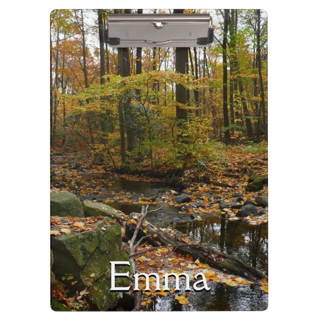 Pranchetas Fall Creek com Reflexão no Laurel Hill Park (Frente)