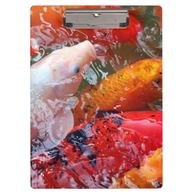 Pranchetas Falln que recolhe Koi (Frente)