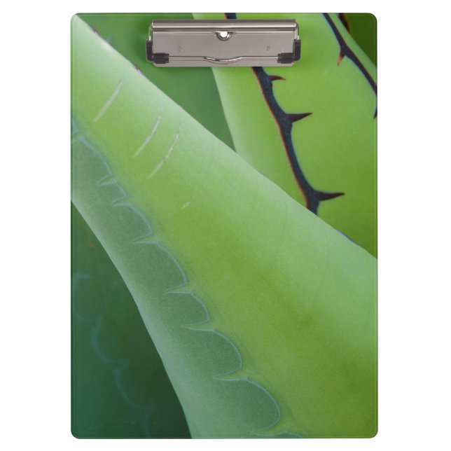 Pranchetas Fechar Agave (Frente)