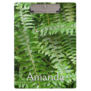 Pranchetas Fern Fronte I Green Nature