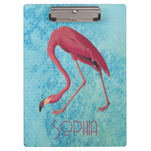 Pranchetas Flamingo Rosa Audubon com Aquarela Azul