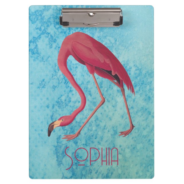 Pranchetas Flamingo Rosa Audubon com Aquarela Azul (Frente)