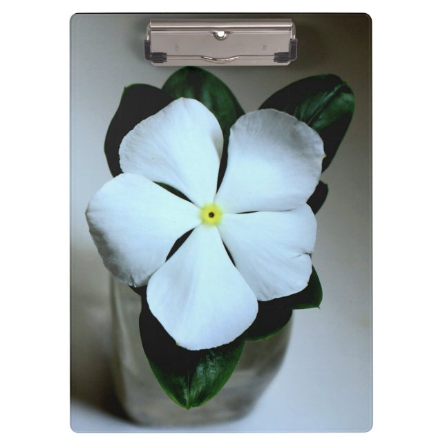 Pranchetas Flor branca (Frente)