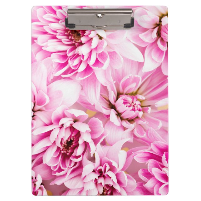 Pranchetas Flor Chrysanthemum Rosa (Frente)