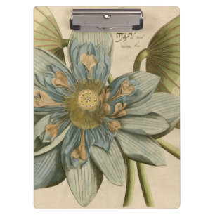 Pranchetas Flor de Lotus Azul no Fundo do Tom com Escrevendo