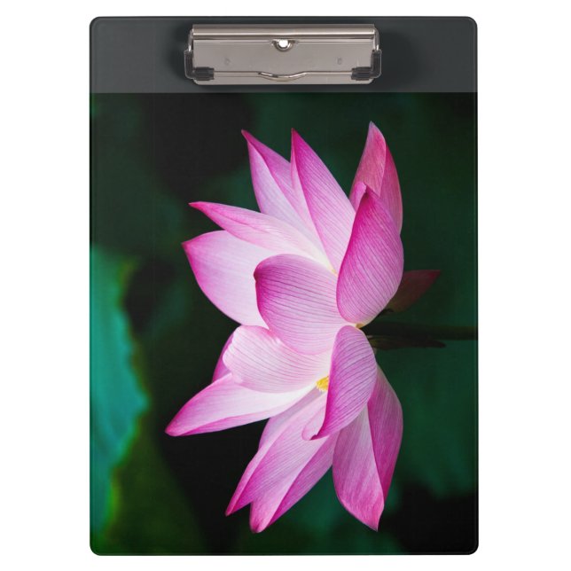 Pranchetas Flor de Lotus Rosa (Frente)