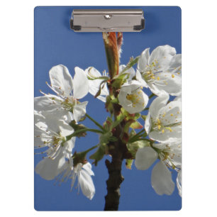 Pranchetas Flor Primavera branco